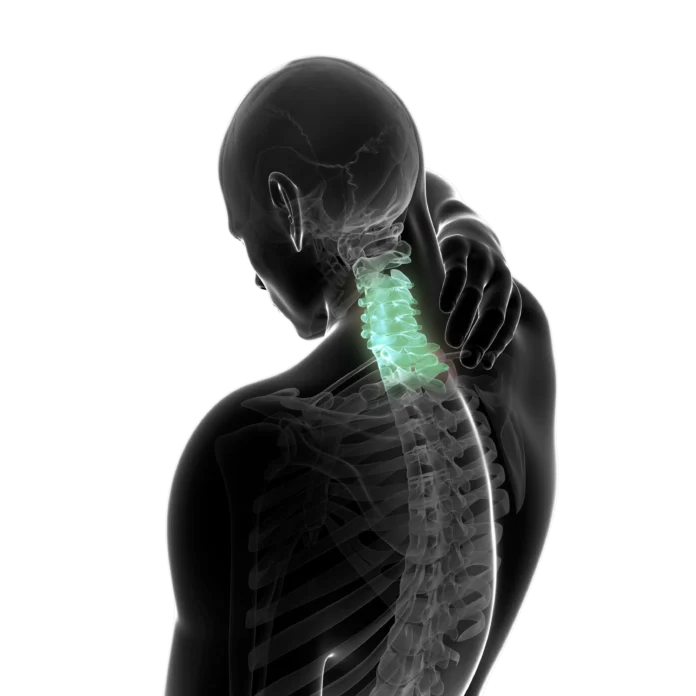 radiografie head and neck edenta